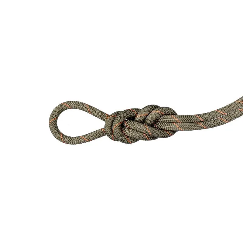 Mammut  9.9 Gym Workhorse Classic Rope - Corda intera