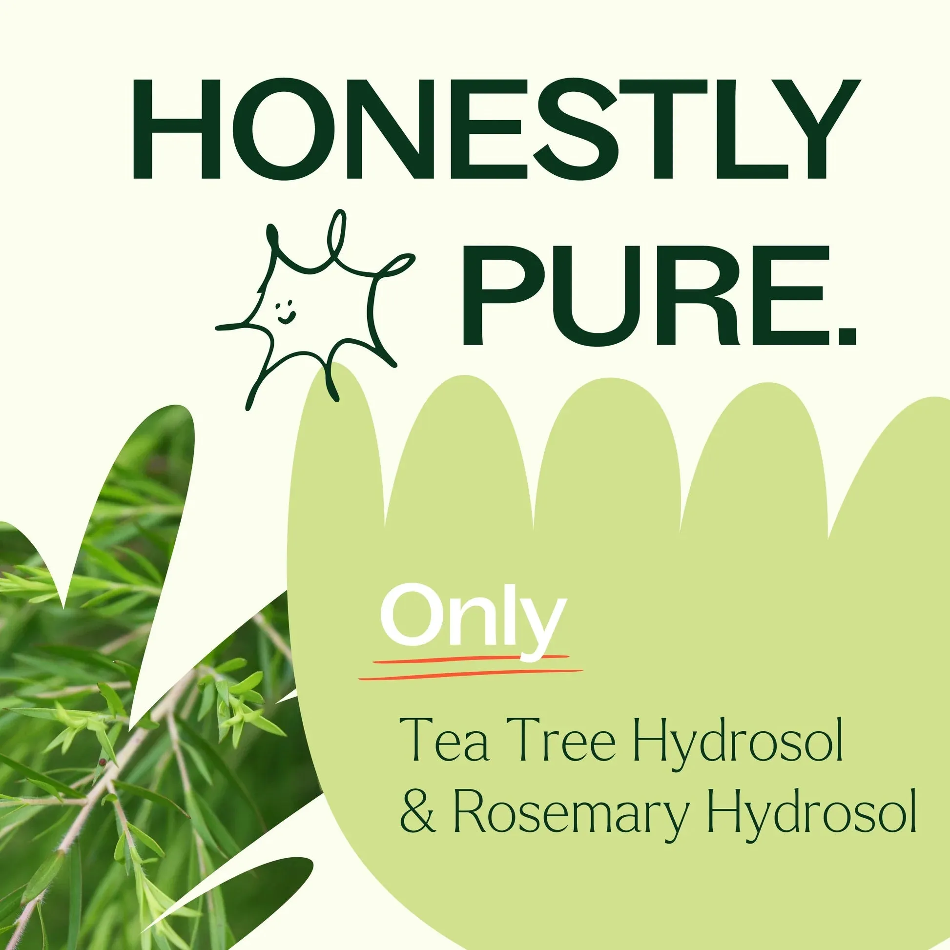 Plant Therapy Tea Tree & Rosemary Facial Mist